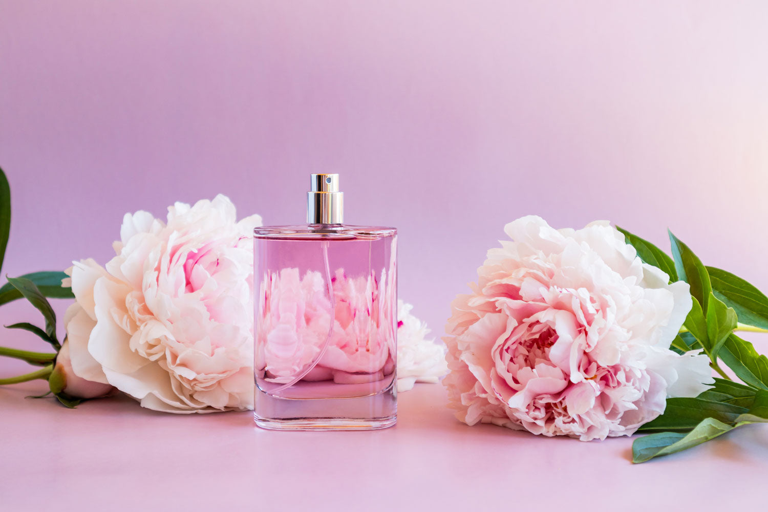 collection of womens perfumes